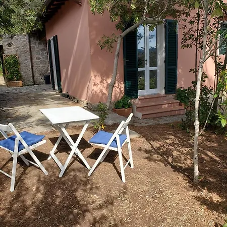 Casa Degli Ulivi *