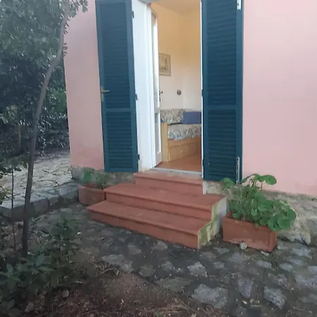 Casa Degli Ulivi * プロッキオ