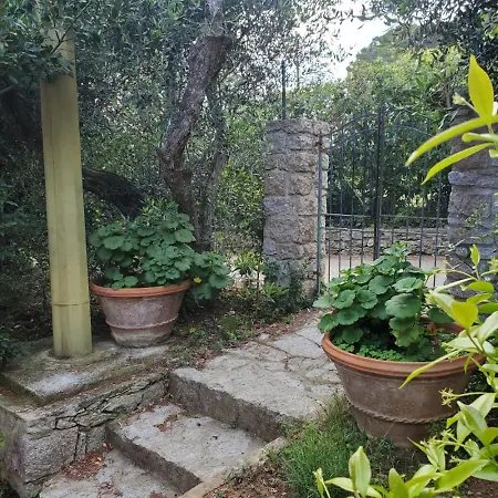 Casa Degli Ulivi Apartmán *