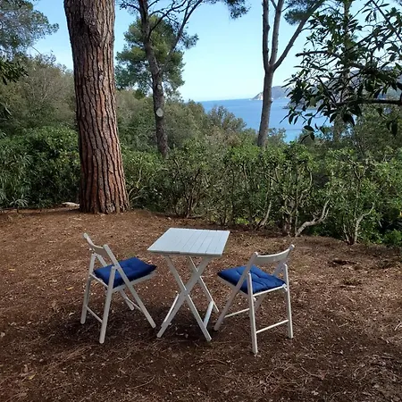 Apartmán Casa Degli Ulivi