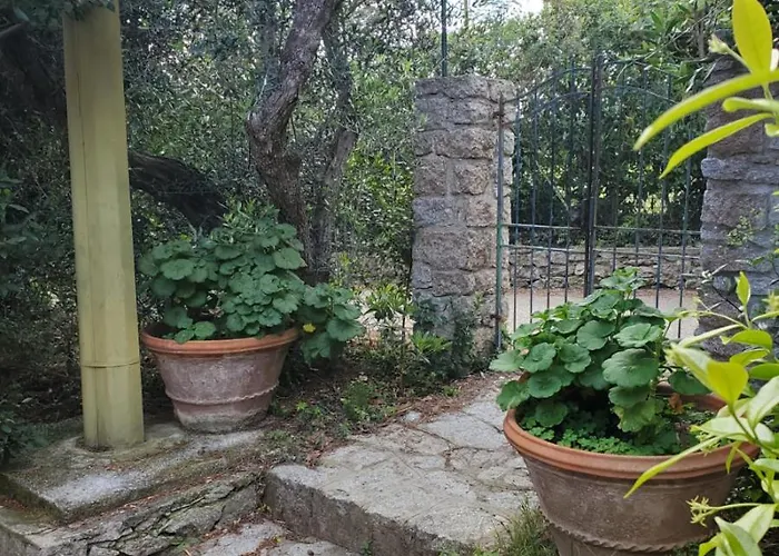 Casa Degli Ulivi Apartment *